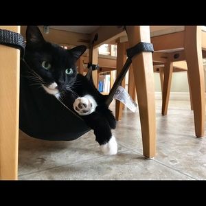 Meet your Posher, Chris